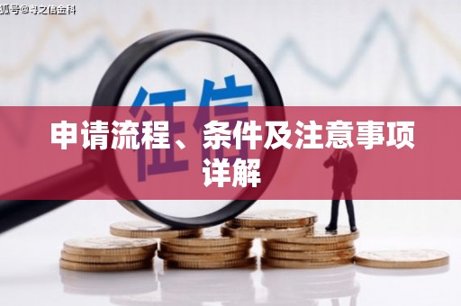 台山申请流程、条件及注意事项详解