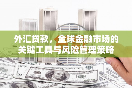 台山外汇贷款，全球金融市场的关键工具与风险管理策略