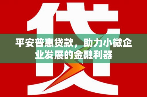 台山平安普惠贷款，助力小微企业发展的金融利器