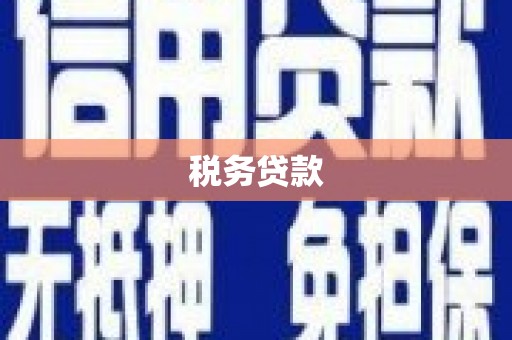 台山税务贷款