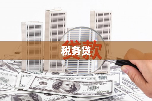 台山税务贷