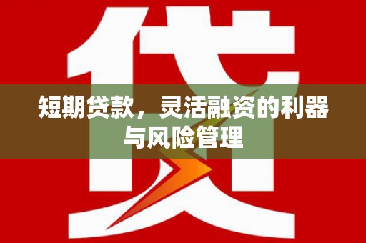 台山短期贷款，灵活融资的利器与风险管理