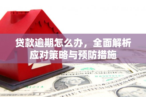 台山贷款逾期怎么办，全面解析应对策略与预防措施