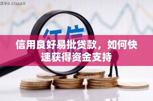 台山信用良好易批贷款，如何快速获得资金支持