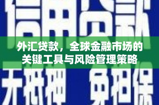 台山外汇贷款，全球金融市场的关键工具与风险管理策略