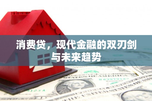 台山消费贷，现代金融的双刃剑与未来趋势
