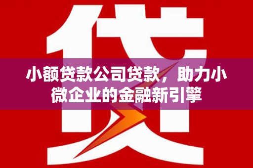 台山小额贷款公司贷款，助力小微企业的金融新引擎