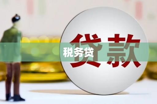 台山税务贷