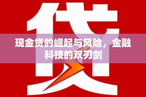 台山现金贷的崛起与风险，金融科技的双刃剑