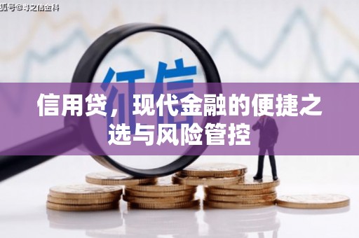 台山信用贷，现代金融的便捷之选与风险管控