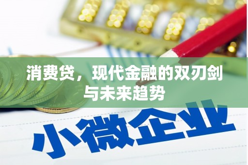 台山消费贷，现代金融的双刃剑与未来趋势