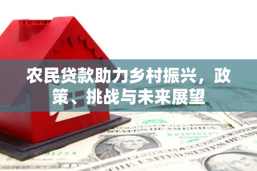 台山农民贷款助力乡村振兴，政策、挑战与未来展望