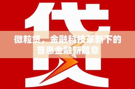 台山微粒贷，金融科技革新下的普惠金融新篇章