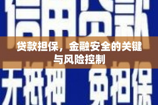 台山贷款担保，金融安全的关键与风险控制