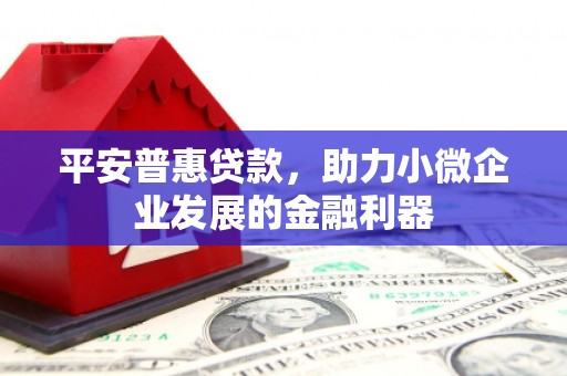 台山平安普惠贷款，助力小微企业发展的金融利器