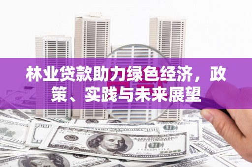 台山林业贷款助力绿色经济，政策、实践与未来展望
