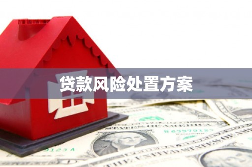 台山贷款风险处置方案
