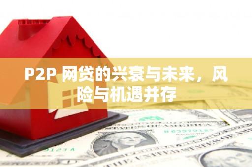 台山P2P 网贷的兴衰与未来，风险与机遇并存