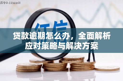 台山贷款逾期怎么办，全面解析应对策略与解决方案